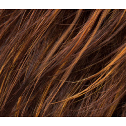 hazelnut rooted