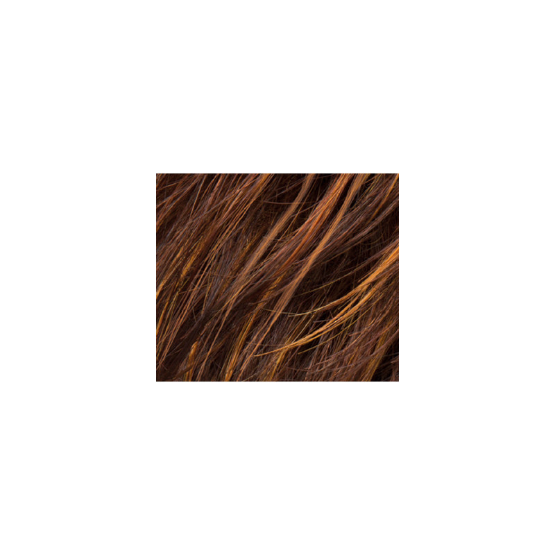 hazelnut rooted